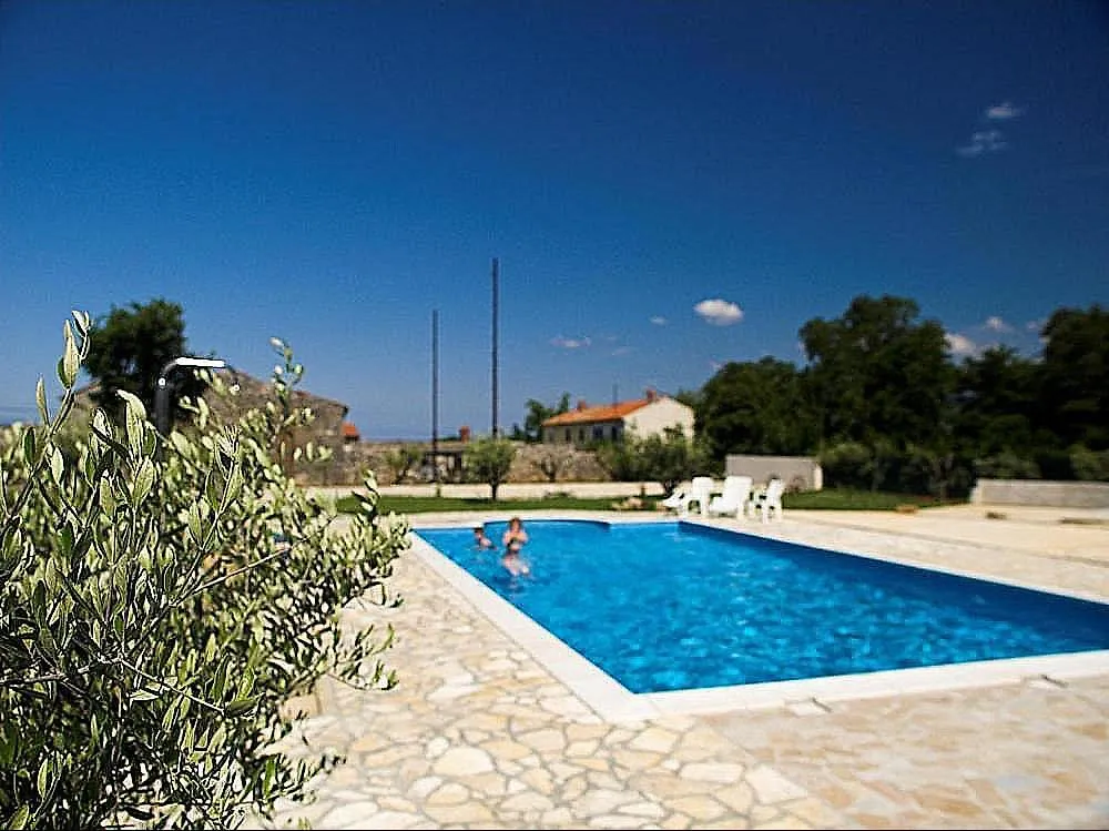 Wine House Apartments & Rooms Marceta